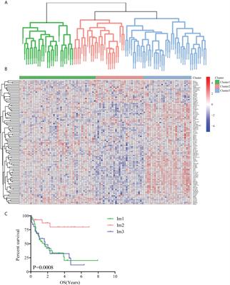 Construction of a solid Cox model for AML patients based on multiomics bioinformatic analysis